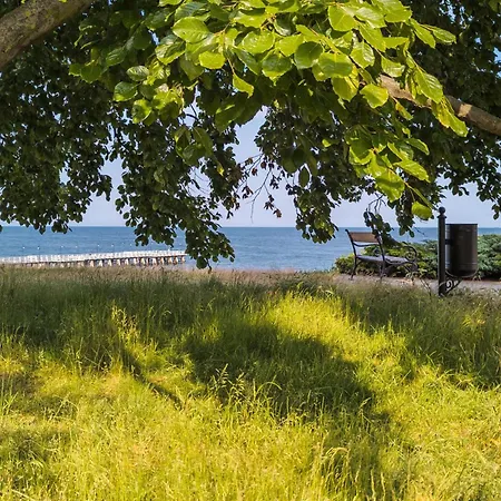 Lejlighed Orlowo Park - Spacious With Winter Garden By Renters Gdynia