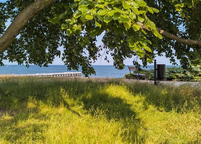 דירה Orlowo Park - Spacious With Winter Garden By Renters גדינייה